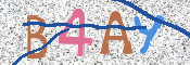 CAPTCHA (Şahıs Denetim Kodu) Resmi