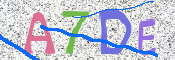 CAPTCHA (Şahıs Denetim Kodu) Resmi